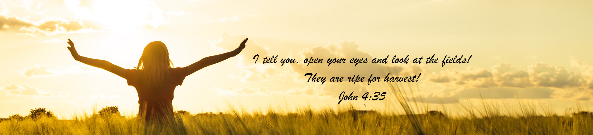 John 4:35